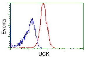ab123939 at 1/100 dilution staining UCK in Jurkat cells by Flow cytometry (Red) compared to a nonspecific negative control antibody (Blue).