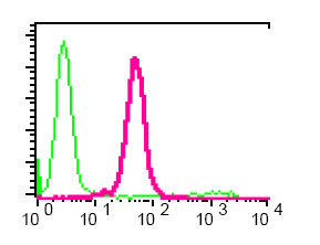 Flow cytometric analysis of permeabilized U937 cells using ab76537 at a 1/40 dilution (red) or a rabbit IgG (negative) (green).