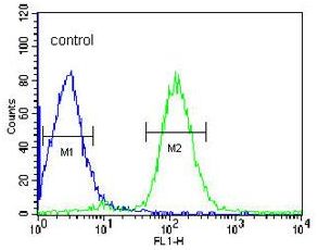 Flow cytometric analysis of HepG2 cells labelling Von Hippel Lindau with ab135576 at 1/10 (right histogram) compared to a negative control cell (left histogram). FITC conjugated Goat anti Rabbit secondary antibodies were used for the analysis.