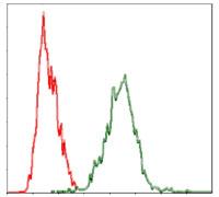ab124474, at 1/200 dilution, staining YAP1 in HeLa cells by flow cytometry (green) or negative control (red).
