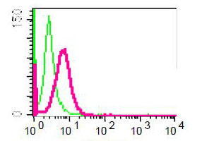 Flow cytometry analysis of permeabilized Hela cells using anti-SIR2/SIRT2 (red)(ab51023) or a rabbit IgG (negative)(green).