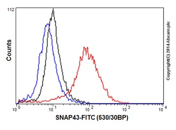 Flow cytometric analysis of U-87 MG (Human glioblastoma-astrocytoma epithelial cell line) cells labeling SNAP43 with ab197015 at 1/60 dilution (red) compared with a rabbit monoclonal IgG isotype control (black) and an unlabelled control (cells without incubation with primary antibody and secondary antibody; blue). Goat anti rabbit IgG (FITC) at 1/150 dilution was used as the secondary antibody.