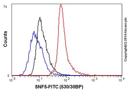 Flow cytometric analysis of Jurkat cells labeling SNF5 using ab192864 at a 1/110 dilution (red). Goat anti rabbit IgG (FITC) used as the secondary antibody at a 1/150 dilution. Isotype control Rabbit monoclonal IgG (black). Unlabeled/control cells without incubation with primary and secondary antibody (blue). Cells were fixed in 2% paraformaldehyde.