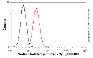 Overlay histogram showing MCF7 cells stained with ab17795 (red line). The cells were fixed with 4% paraformaldehyde (10 min) and then permeabilized with 0.1% PBS-Tween for 20 min. The cells were then incubated in 1x PBS / 10% normal goat serum / 0.3M glycine to block non-specific protein-protein interactions followed by the antibody (ab17795, 1µg/1x106 cells) for 30 min at 22ºC. The secondary antibody used was DyLight® 488 goat anti-mouse IgG (H+L) (ab96879) at 1/500 dilution for 30 min at 22ºC. Isotype control antibody (black line) was mouse IgG1 [ICIGG1] (ab91353, 2µg/1x106 cells) used under the same conditions. Acquisition of >5,000 events was performed. This antibody gave a positive signal in MCF7 cells fixed with 80% methanol (5 min)/permeabilized in 0.1% PBS-Tween used under the same conditions.
