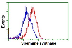 ab128489 at 1/100 dilution staining Spermine synthase in HeLa cells by Flow cytometry (Red) compared to a nonspecific negative control antibody (Blue).