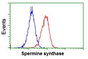 ab128489 at 1/100 dilution staining Spermine synthase in Jurkat cells by Flow cytometry (Red) compared to a nonspecific negative control antibody (Blue).