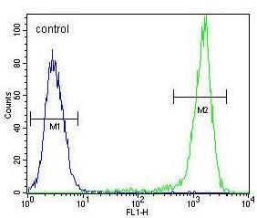 Flow cytometric analysis of permeabilized MCF7 cells labeling Sphingomyelin Synthase 2 with ab189443 at 1/10 dilution (right histogram), compared with a negative control cell (left histrogram). FITC-conjugated goat-anti-rabbit secondary antibodies were used for the analysis.