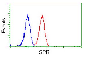 ab119402 at 1/100 dilution staining SPR in Jurkat cells by Flow cytometry (Red) compared to a nonspecific negative control antibody (Blue).