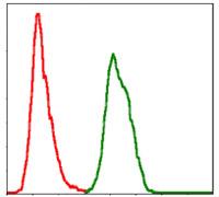 ab124473, at 1/200 dilution, staining Skp1 in HeLa cells by flow cytometry (green) or negative control (red).