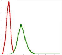 ab119912 at 1/200 dilution staining Skp1 in NIH3T3 cells by Flow Cytometry (green), negative control (red).