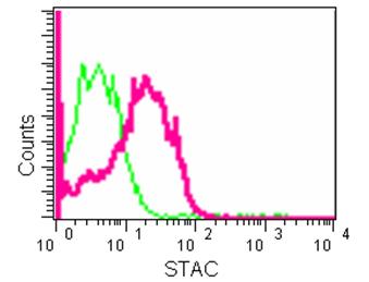 Flow cytometry analysis of A431 cells labeling STAC using ab181157 at a 1/20 dilution (red) or a Rabbit monoclonal IgG (negative) (green). Goat anti rabbit IgG (FITC) secondary used at a 1/150 dilution.