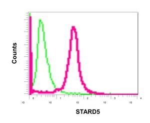 Flow cytometric analysis of permeabilized 293T cells using ab178688 at a 1/10 dilution (red) or a rabbit IgG (negative) (green).