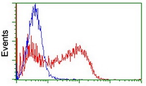 Flow Cytometry analysis of HEK293T cells transfected with either SLAP2 overexpress plasmid (Red) or empty vector control plasmid (Blue) with ab131571 antibody at a dilution of 1/100.