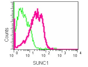 Flow Cytometric analysis of HepG2 cells (2% paraformaldehyde-fixed) labeling SUNC1 with ab181063 at 1/110 dilution (red) or a rabbit IgG (negative) (green), followed by Goat anti rabbit IgG (FITC) secondary at 1/150 dilution.