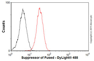 Overlay histogram showing HEK293 cells stained with ab52913 (red line). The cells were fixed with 4% paraformaldehyde (10 min) and then permeabilized with 0.1% PBS-Tween for 20 min. The cells were then incubated in 1x PBS / 10% normal goat serum / 0.3M glycine to block non-specific protein-protein interactions followed by the antibody (ab52913, 1/100 dilution) for 30 min at 22°C. The secondary antibody used was DyLight® 488 goat anti-rabbit IgG (H+L) (ab96899) at 1/500 dilution for 30 min at 22°C. Isotype control antibody (black line) was rabbit IgG (monoclonal) ( 1µg/1x106 cells) used under the same conditions. Acquisition of >5,000 events was performed. This antibody gave a positive signal in HEK293 cells fixed with 80% methanol/permeabilized in 0.1% PBS-Tween used under the same conditions.
