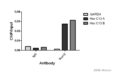 Chromatin was prepared from the Human Foreskin Fibroblasts cells. The cross-linking (X-ChiP) technique was used, crosslinking was done for 9 minutes in serum free 1% formaldehyde reagent. The primary antibody was diluted 1/500 in phosphate buffered ChiP dilution buffer and incubated with the sample for 16 hours at 4°C. HOX C13 region was used on the positive control, whilst normal rabbit IgG and GAPDH was used in the negative control. The immunoprecipitated DNA was quantified by real time PCR.See Abreview