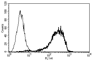A typical staining pattern with ab47220 monoclonal antibody of U266 cell line by Flow Cytometry.