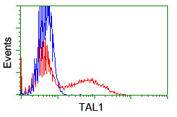 HEK293T cells transfected with either Tal1 overexpress plasmid (Red) or empty vector control plasmid (Blue) were immunostained by ab119754 at 1/100, and analyzed by flow cytometry.