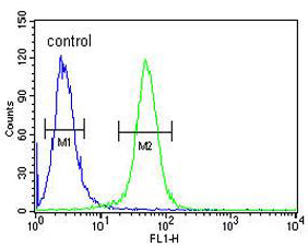 Flow Cytometric analysis of 293 cells labeling TARSL2 with ab175945 at 1/10 dilution (right histogram) compared to a negative control cell (left histogram). FITC-conjugated goat-anti-rabbit secondary antibodies were used for the analysis.