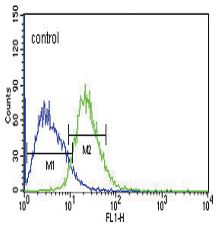 Flow cytometric analysis of Jurkat cells (right histogram) compared to a negative control cell (left histogram) using ab174924 at 1/10 dilution. FITC-conjugated goat-anti-rabbit secondary antibodies were used for the analysis.