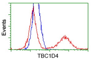 ab119004 at 1/100 dilution staining TBC1D4 in HEK293T cells transfected with either pCMV6-ENTRY TBC1D4 overexpress plasmid (Red) or empty vector control plasmid(Blue) by Flow Cytometry.