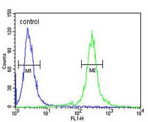Flow cytometric analysis of 293 cells labelling TCERG1L with ab135726 at 1/10 (right histogram) compared to a negative control cell (left histogram). FITC conjugated Goat anti Rabbit secondary antibodies were used for the analysis.