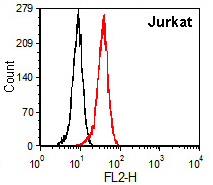 Flow cytometric analysis of Jurkat cells labeling TET3 with ab174862 at 1/100 dilution followed by anti-mouse IgG-PE secondary antibody (red) compared with anti-mouse IgG-PE secondary antibody alone (black).