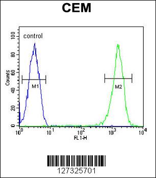 RCN3 Antibody (Center) (Cat# 102-16580) flow cytometric analysis of CEM cells (right histogram) compared to a negative control cell (left histogram).FITC-conjugated goat-anti-rabbit secondary antibodies were used for the analysis.