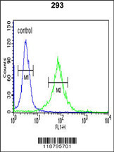 WTX Antibody (Center) (Cat# 102-16820) flow cytometric analysis of 293 cells (right histogram) compared to a negative control cell (left histogram).FITC-conjugated goat-anti-rabbit secondary antibodies were used for the analysis.