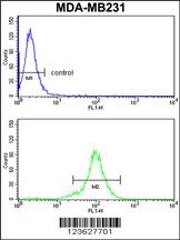RPGRIP1 Antibody (Center) (Cat# 102-18059) flow cytometry analysis of MDA-MB231 cells (bottom histogram) compared to a negative control cell (top histogram). FITC-conjugated goat-anti-rabbit secondary antibodies were used for the analysis.