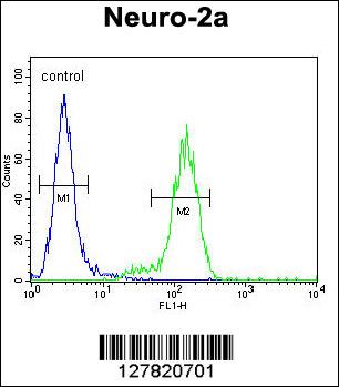 VWA3B Antibody (C-term) (Cat# 102-10620) flow cytometric analysis of Neuro-2a cells (right histogram) compared to a negative control cell (left histogram).FITC-conjugated goat-anti-rabbit secondary antibodies were used for the analysis.