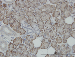 See description below for image caption