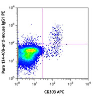 Human peripheral blood mononuclear cells were surface stained with CD303 APC, fixed and permeabilized with BioLegend's FOXP3 Fix/Perm Buffer Set (Cat# 421403), and then stained with purified LAMP5 (clone 124-40B) (top) or mouse IgG1, κ isotype control (bottom), followed by anti-mouse IgG1 PE. 