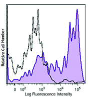 C57BL/6 mouse splenocytes were stained with CD45R/B220 Brilliant Violet 421™, CD138 APC, and ENPP1 (clone YE1/19.1) PE (filled histogram) or rat IgG2b, κ PE isotype control (open histogram). Data shown was gated on the plasma cell (B220- CD138+) population.
