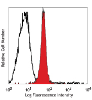 Intracellular staining of mouse thymocytes with the RG9-35 PE