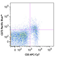 C57BL/6 mouse splenocytes were stained with CD3 APC/Cy7 and CD73 (clone TY/11.8) Pacific Blue™ (top) or rat IgG1, κ Pacific Blue™ isotype control (bottom).