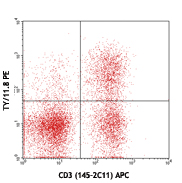BALB/c mouse splenocytes stained with TY/11.8 PE and CD3 (145-2C11) APC