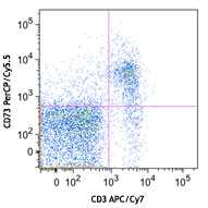 C57BL/6 mouse splenocytes were stained with CD3 APC/Cy7 and CD73 (clone TY/11.8) PerCP/Cy5.5 (top) or rat IgG1, κ PerCP/Cy5.5 isotype control (bottom).