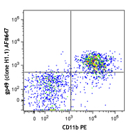 C57BL/6 mouse bone marrow cells were stained with CD11b PE and CD85k (clone H1.1) Alexa Fluor® 647 or Armenian hamster IgG Alexa Fluor® 647 isotype control (bottom). 