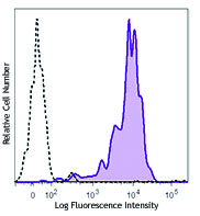 Mouse CD133 transfected RBL-2H3 cells were stained with CD133 (clone 315-2C11) PE/Cy7 (filled histogram) or rat IgG2a, κ PE/Cy7 isotype control (open histogram).