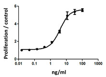 M-NFS60 cell proliferation induced by mouse M-CSF.