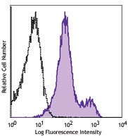 LOU rat splenocytes were stained with CD1d (clone WTH-2) PE (filled histogram) or mouse IgG2a, κ PE isotype control (open histogram).