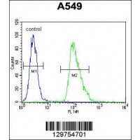 Flow cytometric analysis of A549 cells (right histogram) compared to a negative control cell (left histogram).FITC-conjugated goat-anti-rabbit secondary antibodies were used for the analysis.