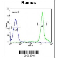 Flow cytometric analysis of Ramos cells (right histogram) compared to a negative control cell (left histogram).FITC-conjugated goat-anti-rabbit secondary antibodies were used for the analysis.