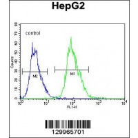 Flow cytometric analysis of HepG2 cells (right histogram) compared to a negative control cell (left histogram).FITC-conjugated goat-anti-rabbit secondary antibodies were used for the analysis.