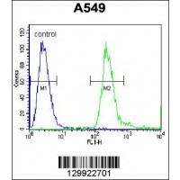 Flow cytometric analysis of A549 cells (right histogram) compared to a negative control cell (left histogram).FITC-conjugated goat-anti-rabbit secondary antibodies were used for the analysis.