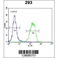 Flow cytometric analysis of 293 cells (right histogram) compared to a negative control cell (left histogram).FITC-conjugated goat-anti-rabbit secondary antibodies were used for the analysis.