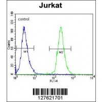 Flow cytometric analysis of Jurkat cells (right histogram) compared to a negative control cell (left histogram).FITC-conjugated goat-anti-rabbit secondary antibodies were used for the analysis.