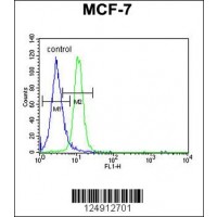 Flow cytometric analysis of MCF-7 cells (right histogram) compared to a negative control cell (left histogram).FITC-conjugated goat-anti-rabbit secondary antibodies were used for the analysis.
