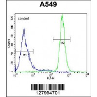 Flow cytometric analysis of A549 cells (right histogram) compared to a negative control cell (left histogram).FITC-conjugated goat-anti-rabbit secondary antibodies were used for the analysis.